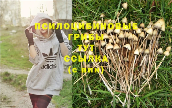 прущая мука Аркадак