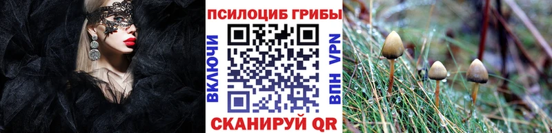 магазин  наркотиков  Электросталь  Псилоцибиновые грибы мицелий 